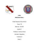 Actividad: Integradora Evidencia 6 Etapa 3