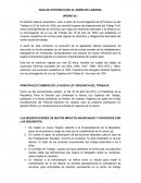 Guia de Introduccion al Derecho laboral