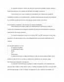 Informes de Seguridad