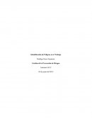 Identificación de Peligros en el Trabajo. Gestión de la Prevención de Riesgos