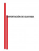 LOCALIZACION DE LA EMPRESA. ESTRUCTURA DE PLAN DE NEGOCIOS