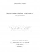 CRITICA COMPARATIVA EL LENGUAGE DEL CUERPO ASOCIADA ALA CULTURA COLOMBIANA