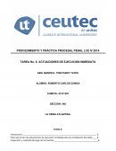 Actuaciones de ejecucion inmediata