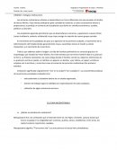 Ciudad mesopotámica