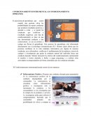 Tema: Psicologia del consumidor