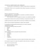 Analsis del comprador