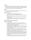 Requerimientos Sistema Bellas Artes