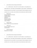 La estrategia de Real Marine