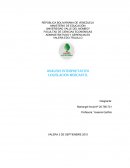 TEMA-ANÁLISIS INTERPRETATIVO