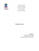 Estudio de caso película papa por siempre