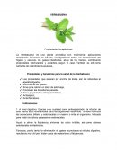 YERBABUENA Propiedades terapéuticas