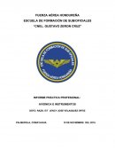 INFORME PRÁCTICA PROFESIONAL AVIONICA E INSTRUMENTOS