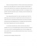 El tío Tom. Ensayo en inglés