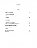 Astrocitos ¿Qué protagonismo desempeñan en el Sistema Nervioso Central?