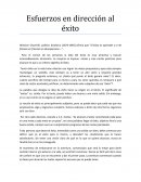 Esfuerzos en dirección al éxito