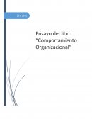 Ensayo sobre Marketing