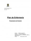 Plan de Enfermería. Caso práctico