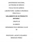 Práctica 9: Quimica