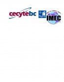 Estructura del plan de mercadotecnia