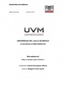 Mitos y Verdades Mexico japon