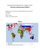 Tema: Derecho Internacional Publico