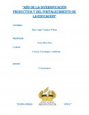 Proyectos innovadores: Reutilización de materiales y arquitectura inspirada