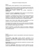 Configuración Psicológica Individual (CPI)