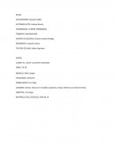 Tema: Integradora español