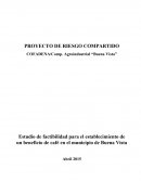 PROYECTO DE RIESGO COMPARTIDO