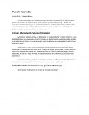 Las Acciones Para Ejecutar La Estrategia