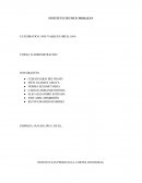 EMPRESA: SUGAR LIPS S. DE R.L.