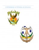 Teoría de la Motricidad