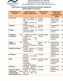 GUÍA PARA EL PLAN DE PREVENCIÓN DE RIESGO LABORALES
