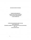 PROGRAMA ACADÉMICO DE ADMINISTRACIÓN EN SALUD OCUPACIONAL