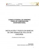 INSTALACIÓN Y PUESTA EN MARCHA DE UNA GRANJA DE POLLOS DE ENGORDE