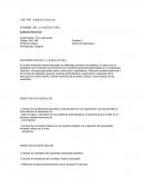 Auditoria gerencial. Los diferentes procesos de auditoria