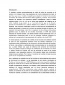 Células de purkinje