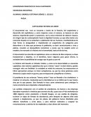 Capitalismo historia de amor