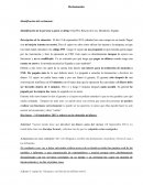 Reclamación Identificación del reclamante