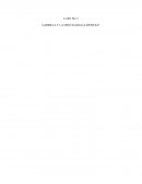 CASO NO. I GABRIELA Y LA MENTALIDAD ¿JAPONESA?