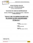 MOF DE UN ESPECIALISTA EN PLANIFICACIÓN-MINISTERIO PÚBLICO.”