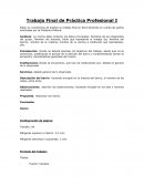 Trabajo Final de Práctica Profesional