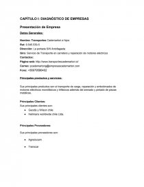 DIAGNÓSTICO DE EMPRESAS. Página 1