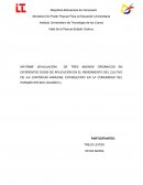 INFORME (EVALUACIÓN DE TRES ABONOS ORGÁNICOS EN DIFERENTES DOSIS DE APLICACIÓN EN EL RENDIMIENTO DEL CULTIVO DE AJI (CAPSICUM ANNUUM), ESTABLECIDO EN LA COMUNIDAD DEL PARAMO ESTADO GUARICO