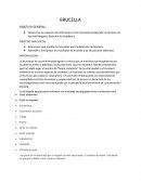 PRACTICA BRUCELLA