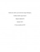 Higienen industrial II