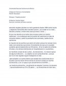 Albergue: Angeles peludos