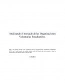 Análisis Organizaciones Voluntarias Estudiantiles.