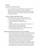 La rutina física óptima para la hora de estudiar debe constar de ejercicios muy básicos y relajantes