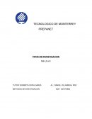 TIPOS DE INVESTIGACION PREPANET